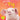 Om Books International Pig : Its Me Pig ( Animal Encyclopedia) - 9789386410504