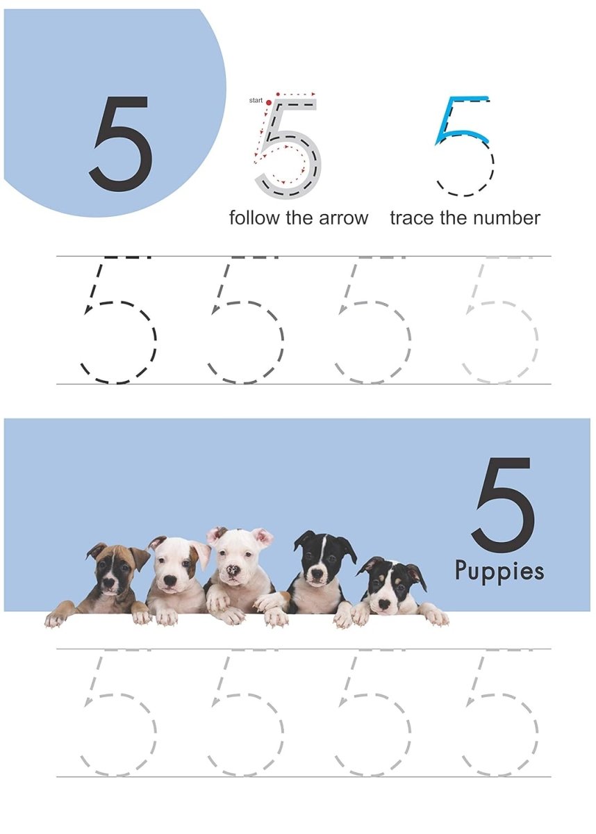 Om Books International Wipe & Clean Numbers Funbook: Write and Practice Numbers - 9789380069951