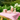 Kidocoo Toddler Shape Set