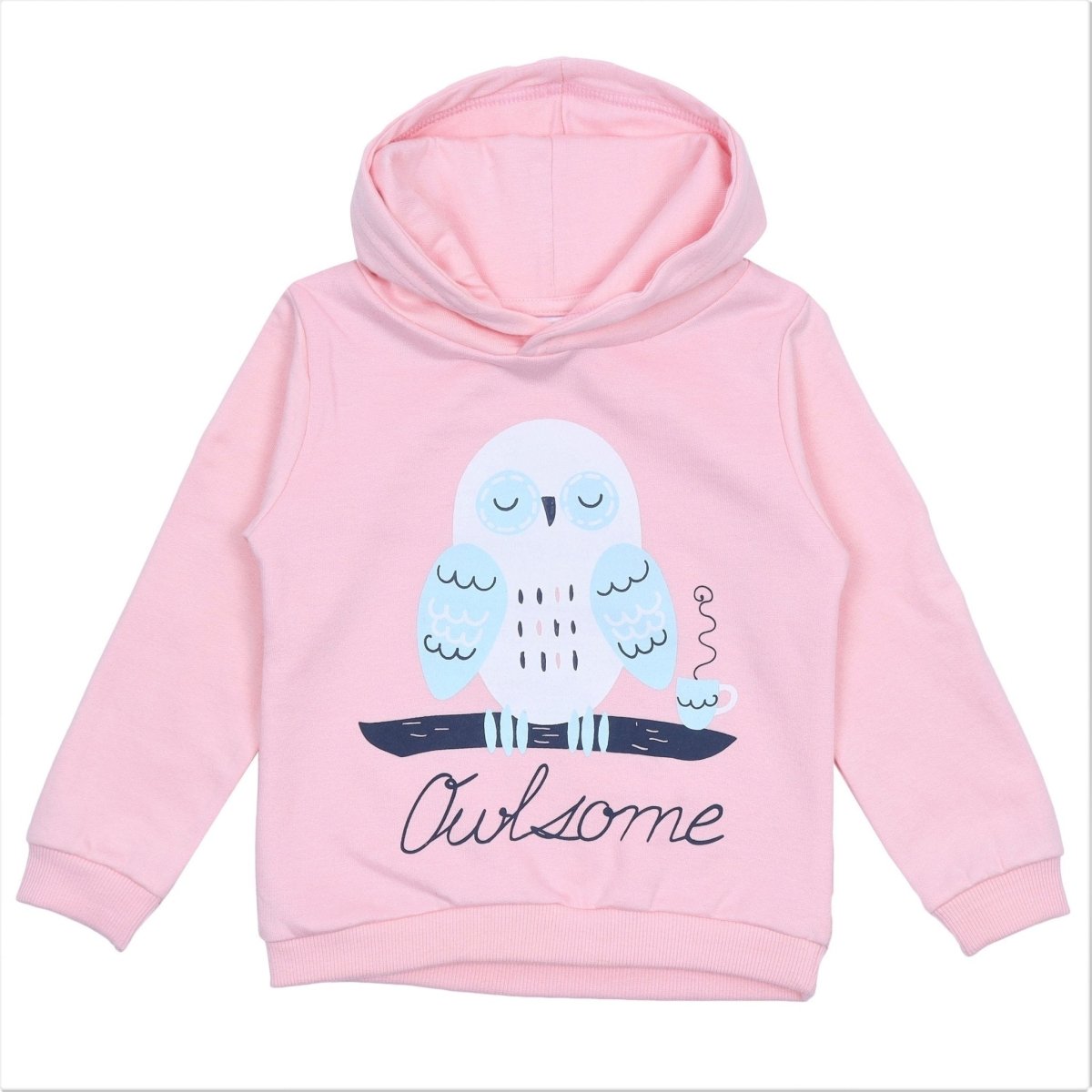 Owlsome Hooded Sweatshirt and Navy Blue Sweatpants Combo - SWSP-OWNB-0-6