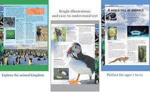 Parragon Fascinating Facts Animals | The Mom Store - Reference Book