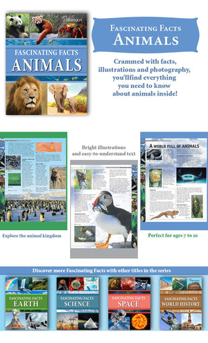 Parragon Fascinating Facts Animals | The Mom Store - Reference Book