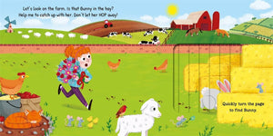 Parragon Follow That Bunny Pull-the-Tabs | The Mom Store - Story Book