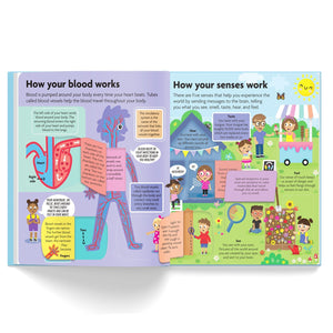 Parragon FunFacts Human Body Board Book | The Mom Store - Early Learning Book