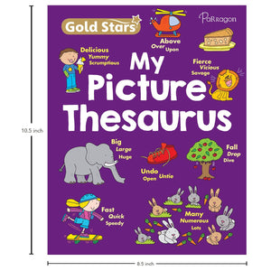 Parragon Goldstars My Picture Thesaurus | The Mom Store - Reference Book