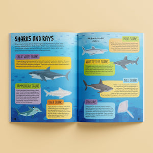 Parragon Know & Glow Predator Activities | The Mom Store - Activity Book