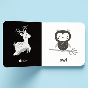 Parragon Nature High-Contrast Board Book | The Mom Store - Early Learning Book