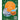 Parragon Planet Earth Encyclopedia | The Mom Store - Reference Book