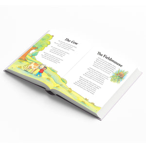 Parragon Publishing 365 Stories & Rhymes for boys | Children's storyooks - 9781474802994