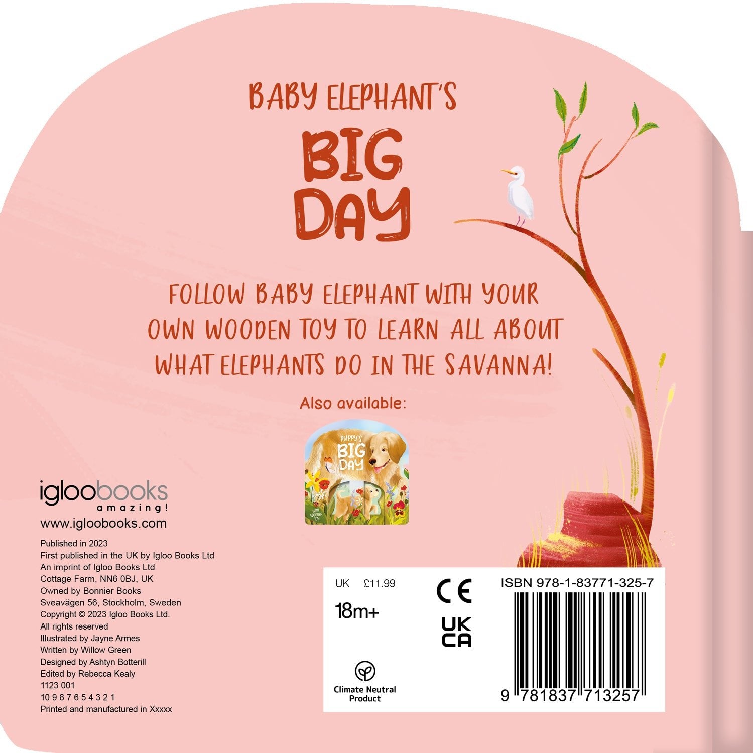 Parragon Publishing Baby Elephant's Big Day | Books with toy Board book - 9781837952694