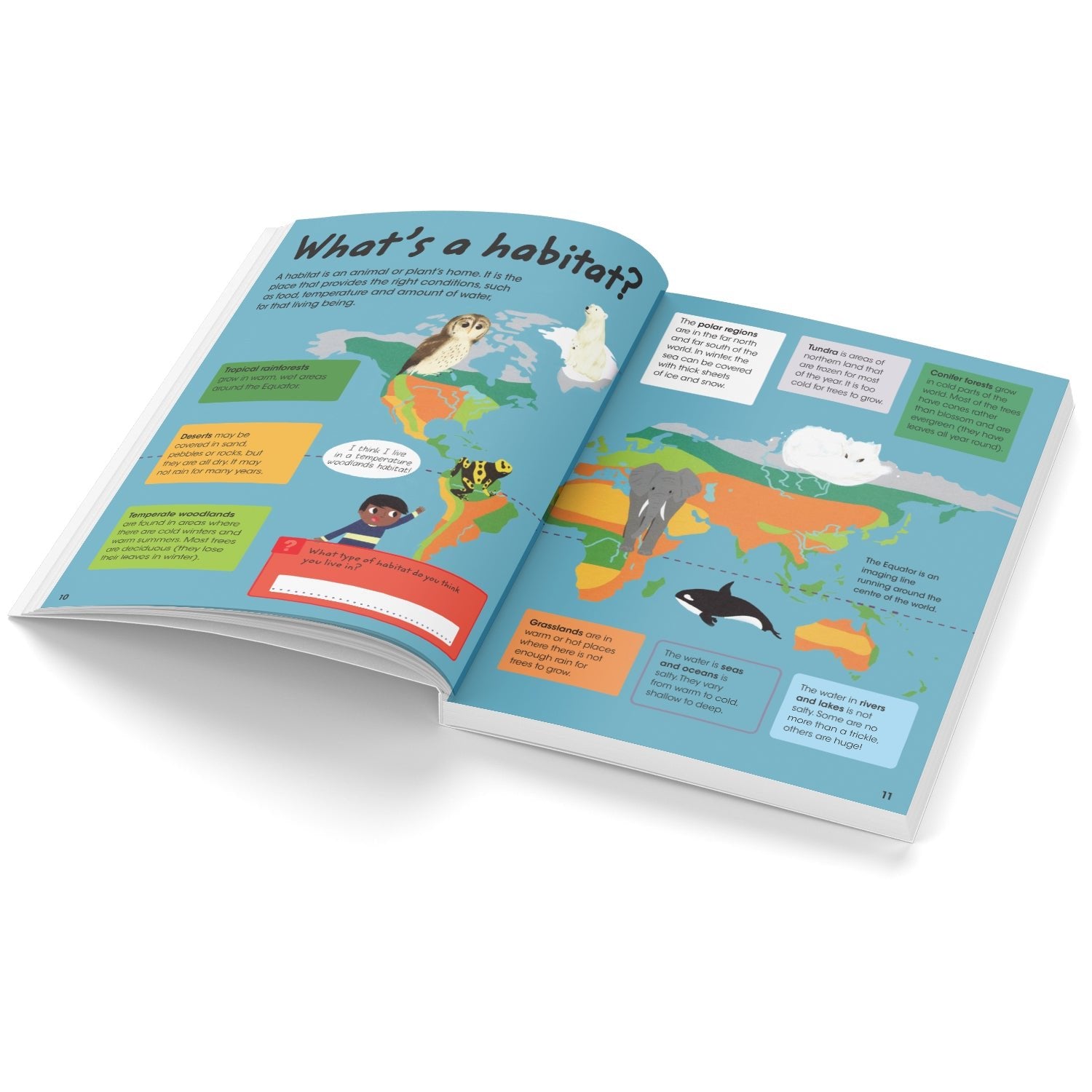 Parragon Publishing Factivity: Amazing Animals (Discover the Facts, Do the Activity) - 9781472389299