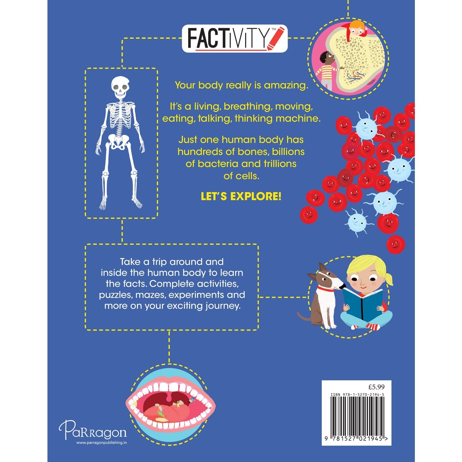 Parragon Publishing Factivity: Brilliant Body (Discover the Facts, Do the Activity) - 9781527021945