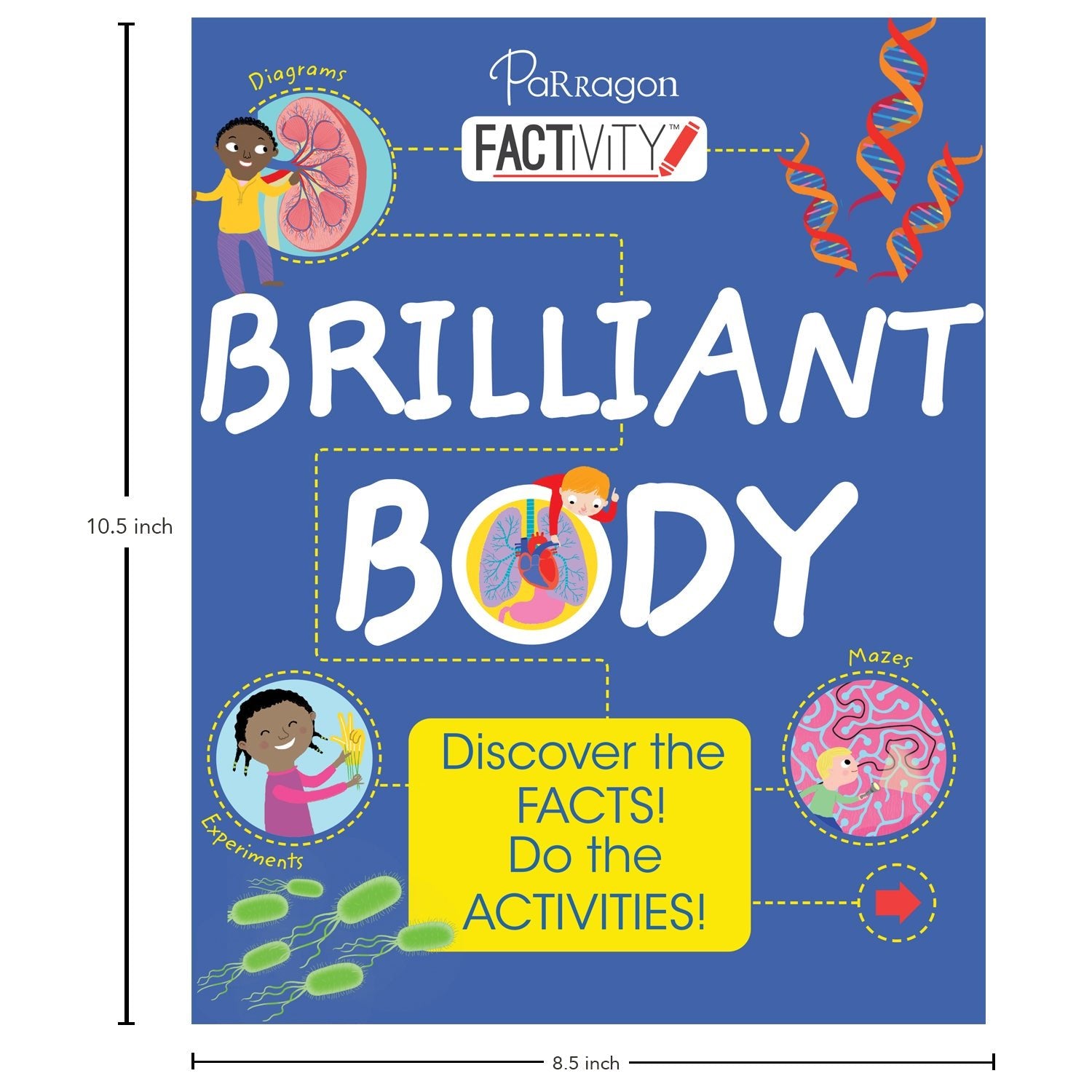 Parragon Publishing Factivity: Brilliant Body (Discover the Facts, Do the Activity) - 9781527021945