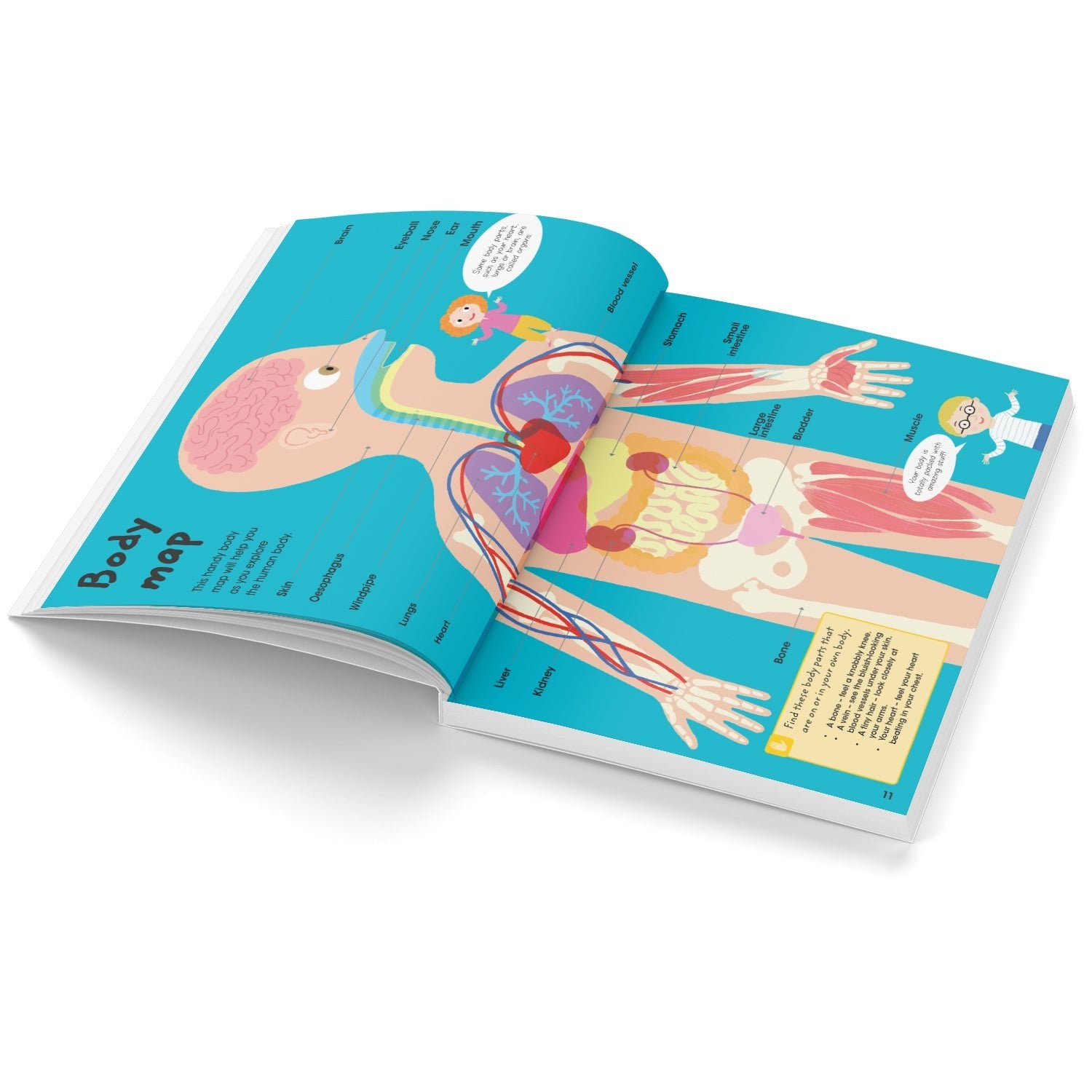 Parragon Publishing Factivity: Brilliant Body (Discover the Facts, Do the Activity) - 9781527021945