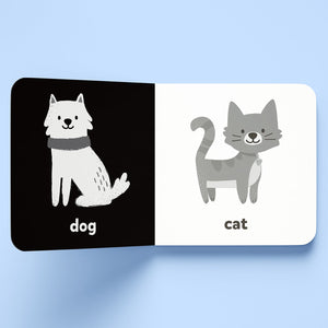 Parragon Publishing First Words High-Contrast Board Book | The Mom Store - Early Learning Book