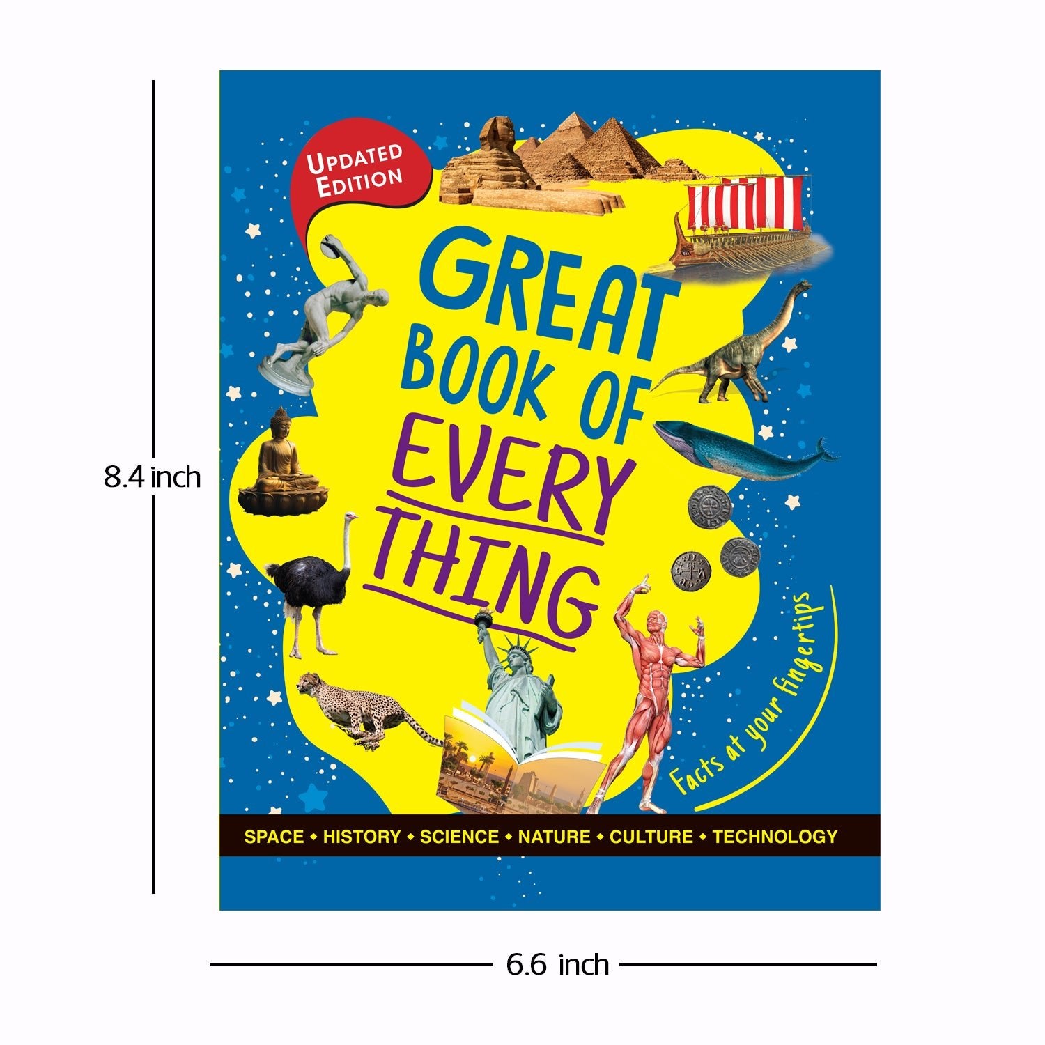 Parragon Publishing Great Book of Everything Fact Book for Children Age 8 - 12 - Educational Books