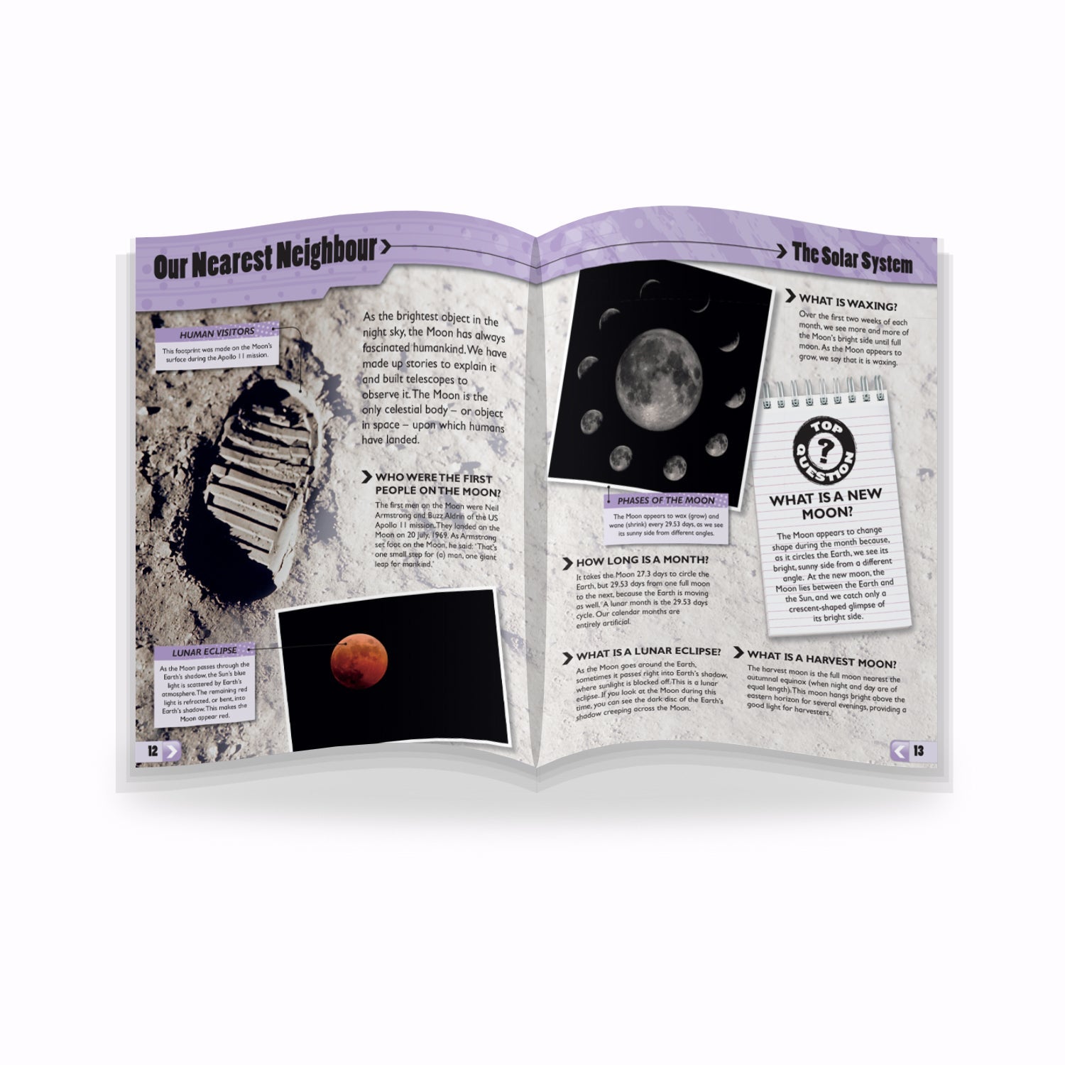 Parragon Publishing Great Book of Everything Fact Book for Children Age 8 - 12 - Educational Books