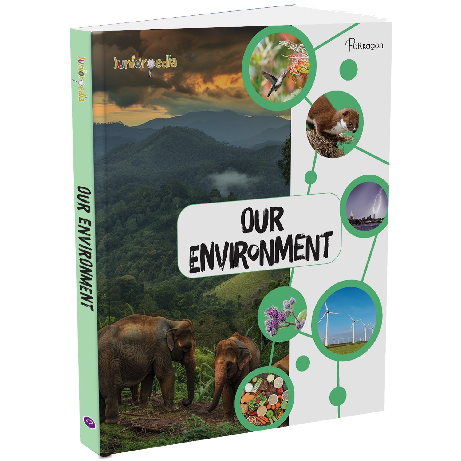 Parragon Publishing Juniorpedia: Environment A Fun Guide for Children Ages 8 - 12 - Educational Books