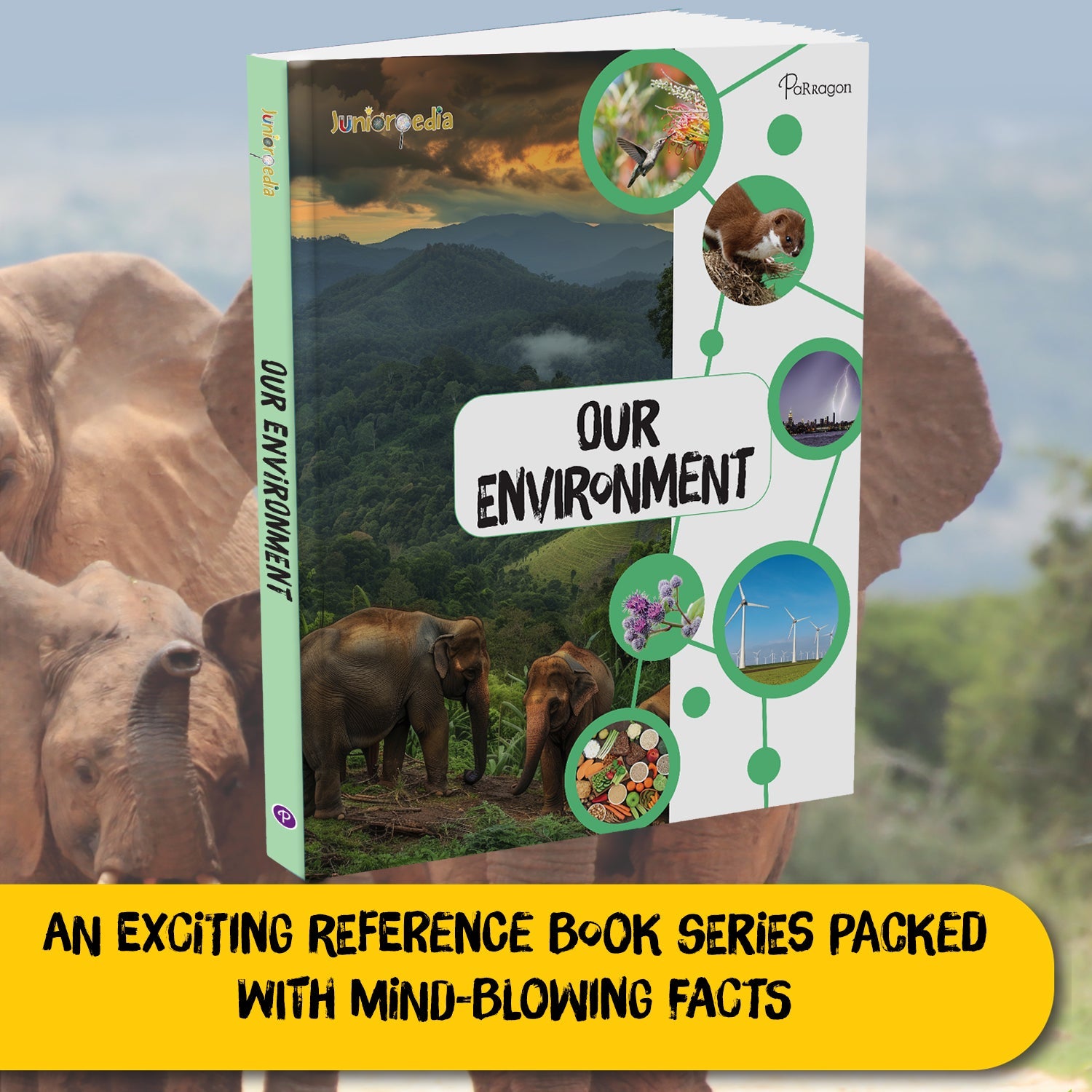 Parragon Publishing Juniorpedia: Environment A Fun Guide for Children Ages 8 - 12 - Educational Books