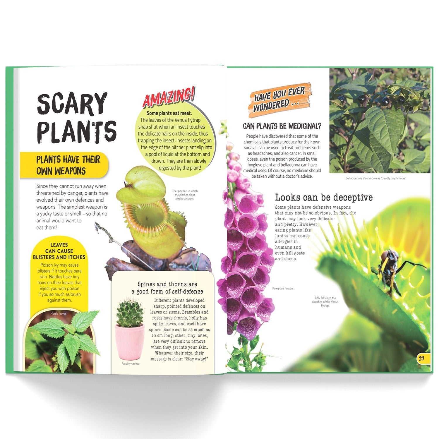 Parragon Publishing Juniorpedia: Environment A Fun Guide for Children Ages 8 - 12 - Educational Books