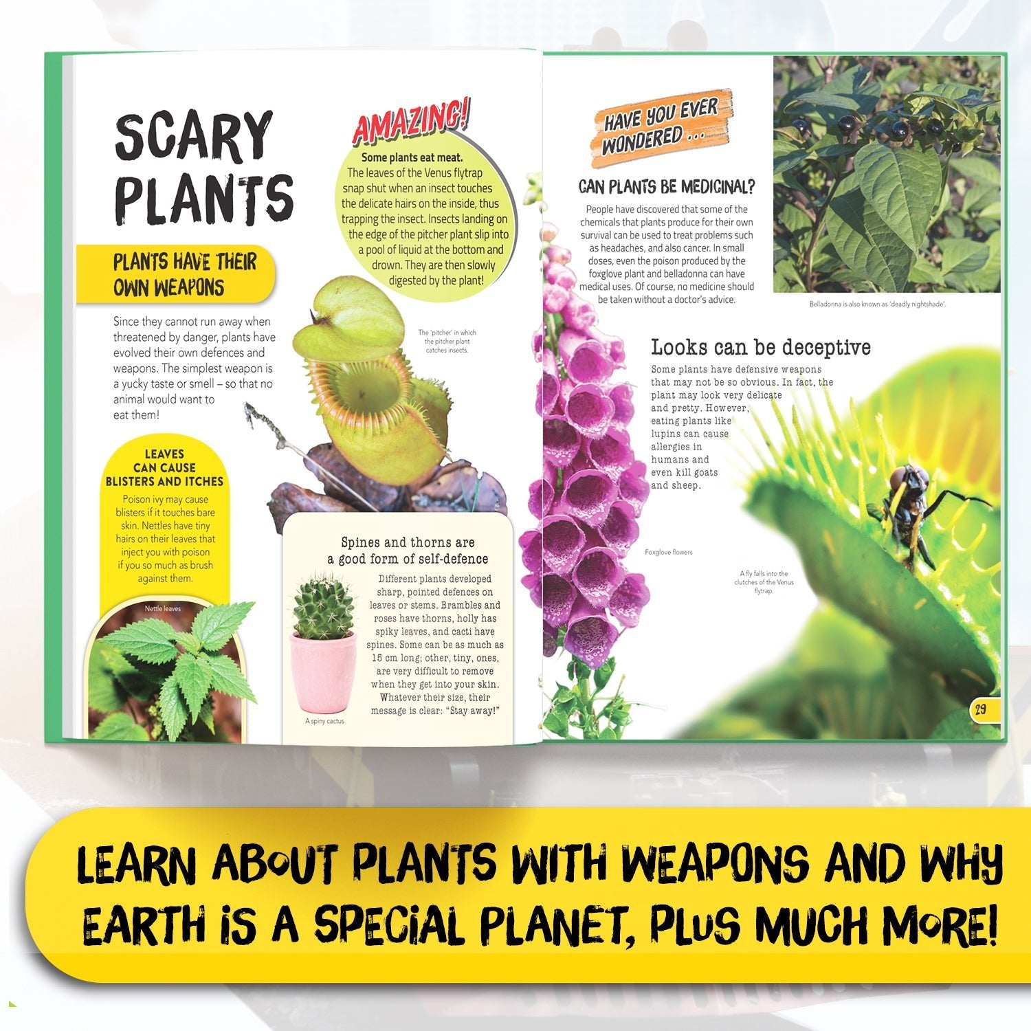 Parragon Publishing Juniorpedia: Environment A Fun Guide for Children Ages 8 - 12 - Educational Books