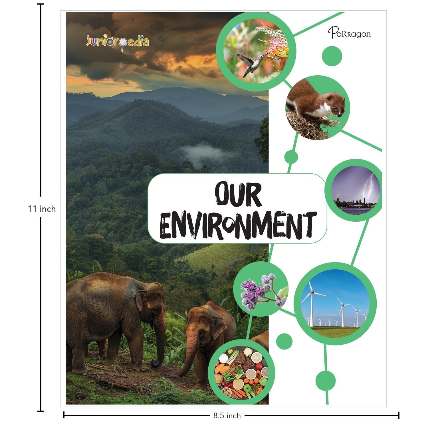 Parragon Publishing Juniorpedia: Environment A Fun Guide for Children Ages 8 - 12 - Educational Books