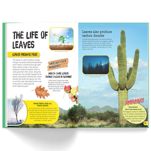 Parragon Publishing Juniorpedia: Environment A Fun Guide for Children Ages 8 - 12 - Educational Books
