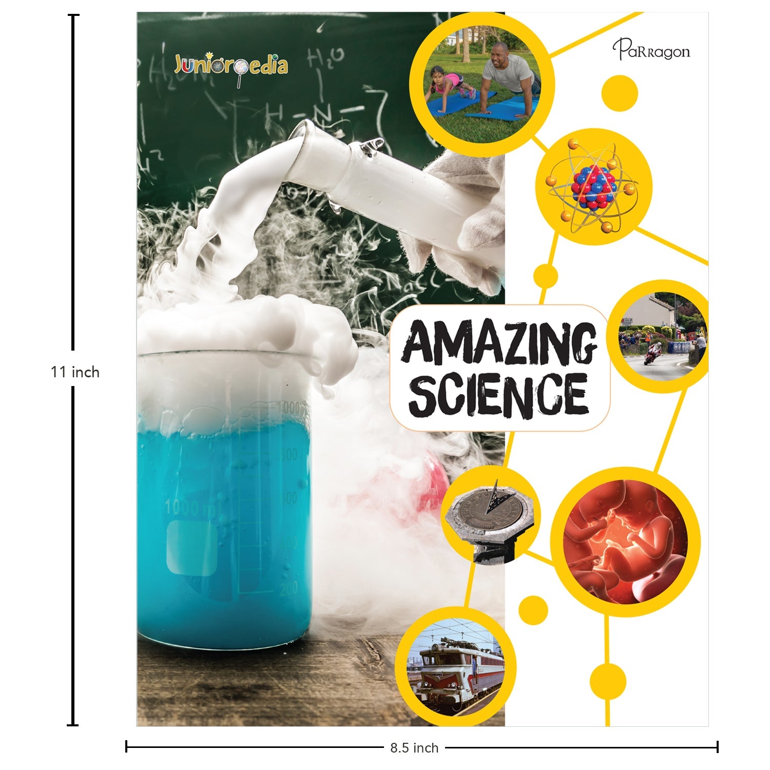 Parragon Publishing Juniorpedia: Science Facts Book for Children Ages 8 to 12 - Educational Books
