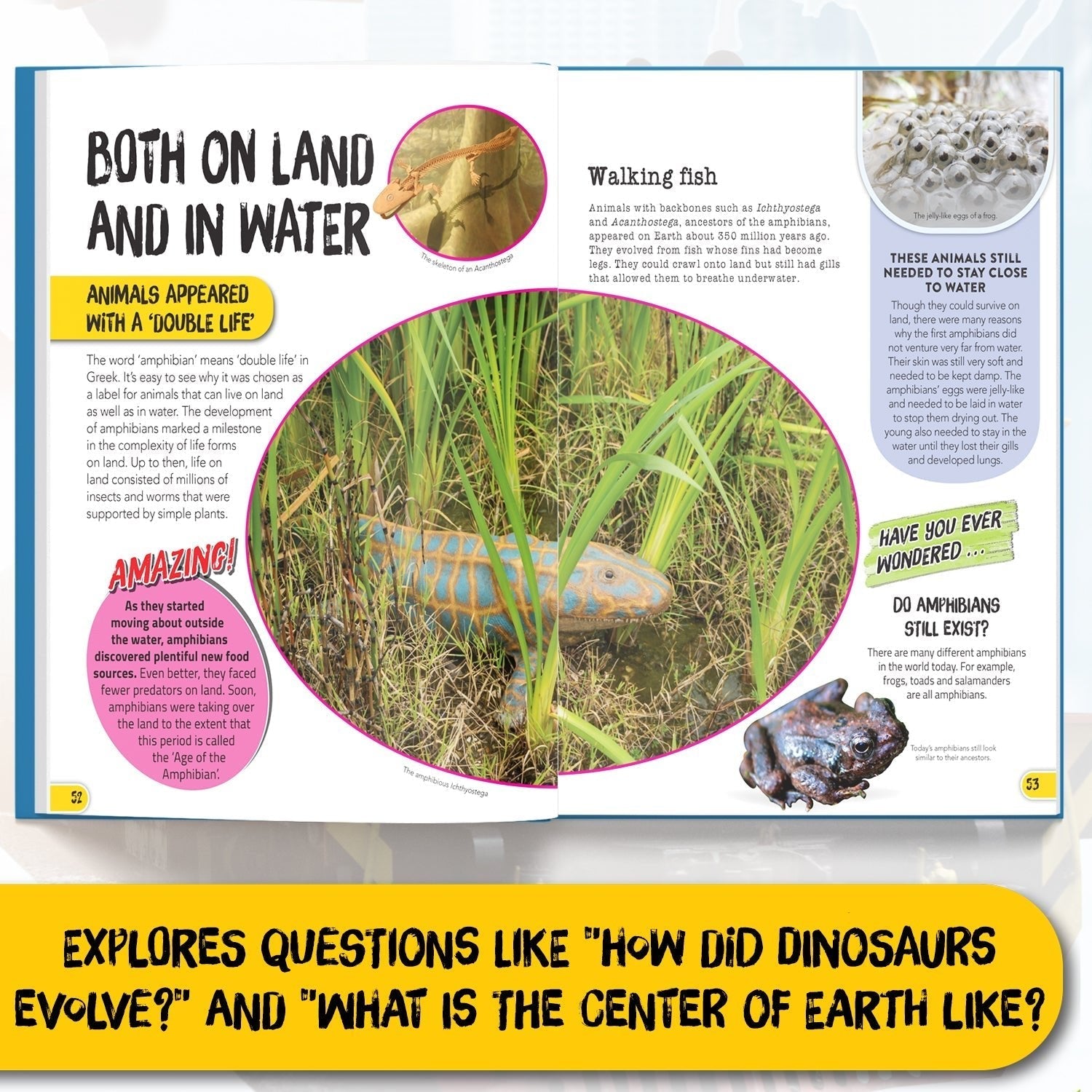 Parragon Publishing Juniorpedia: The Wonders of Planet for Children Ages 8 to 12 - Educational Books