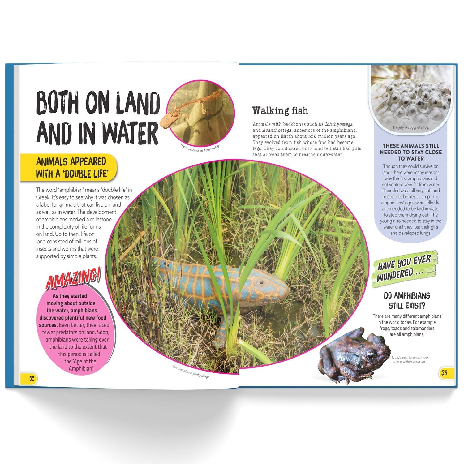 Parragon Publishing Juniorpedia: The Wonders of Planet for Children Ages 8 to 12 - Educational Books