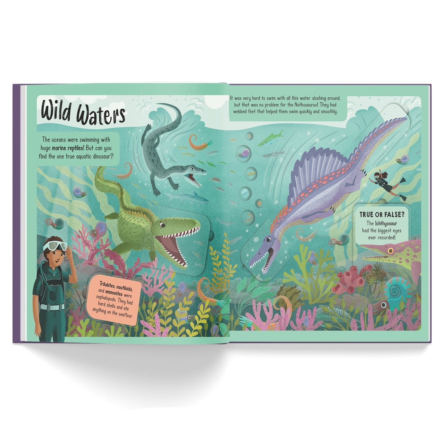 Parragon Publishing Lift - the - Flap Adventure Hunt: Dinosaur Adventure - 9781835443064