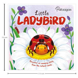 Parragon Publishing Little Ladybird | Story Book for 4 to 6 Year Kids - 9781835443187