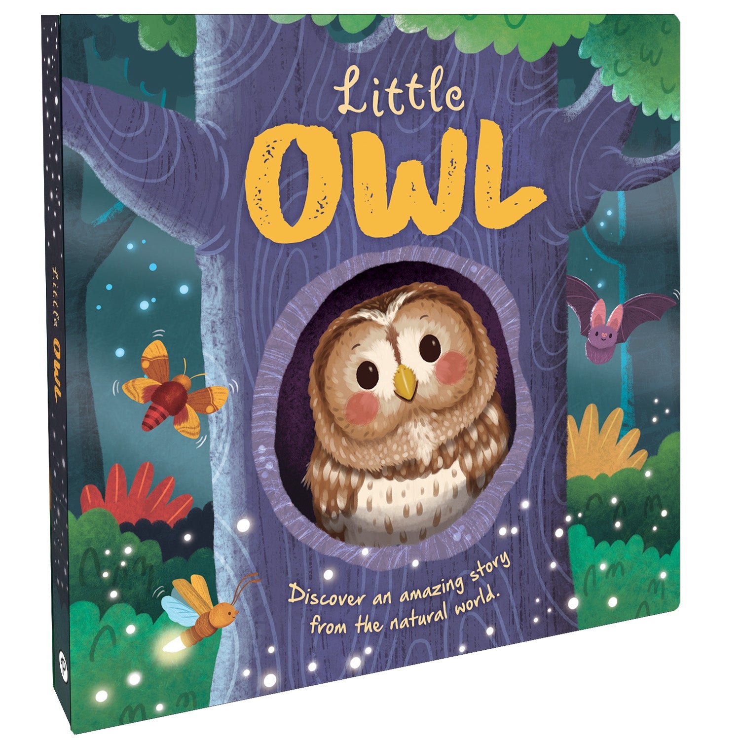 Parragon Publishing Little Owl | Discover An Amazing Story |For 4 to 6 Year Kids - 9781835443194