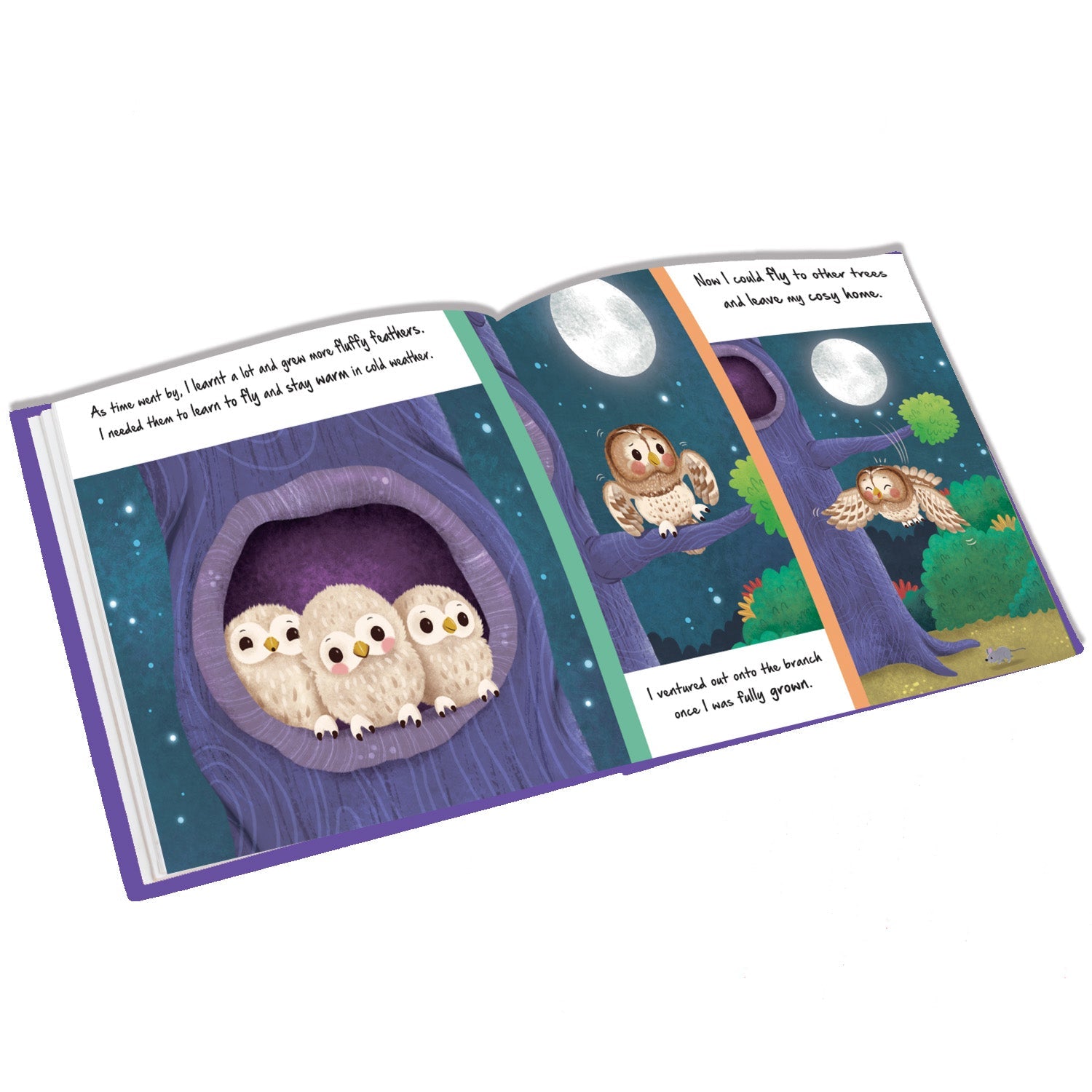 Parragon Publishing Little Owl | Discover An Amazing Story |For 4 to 6 Year Kids - 9781835443194