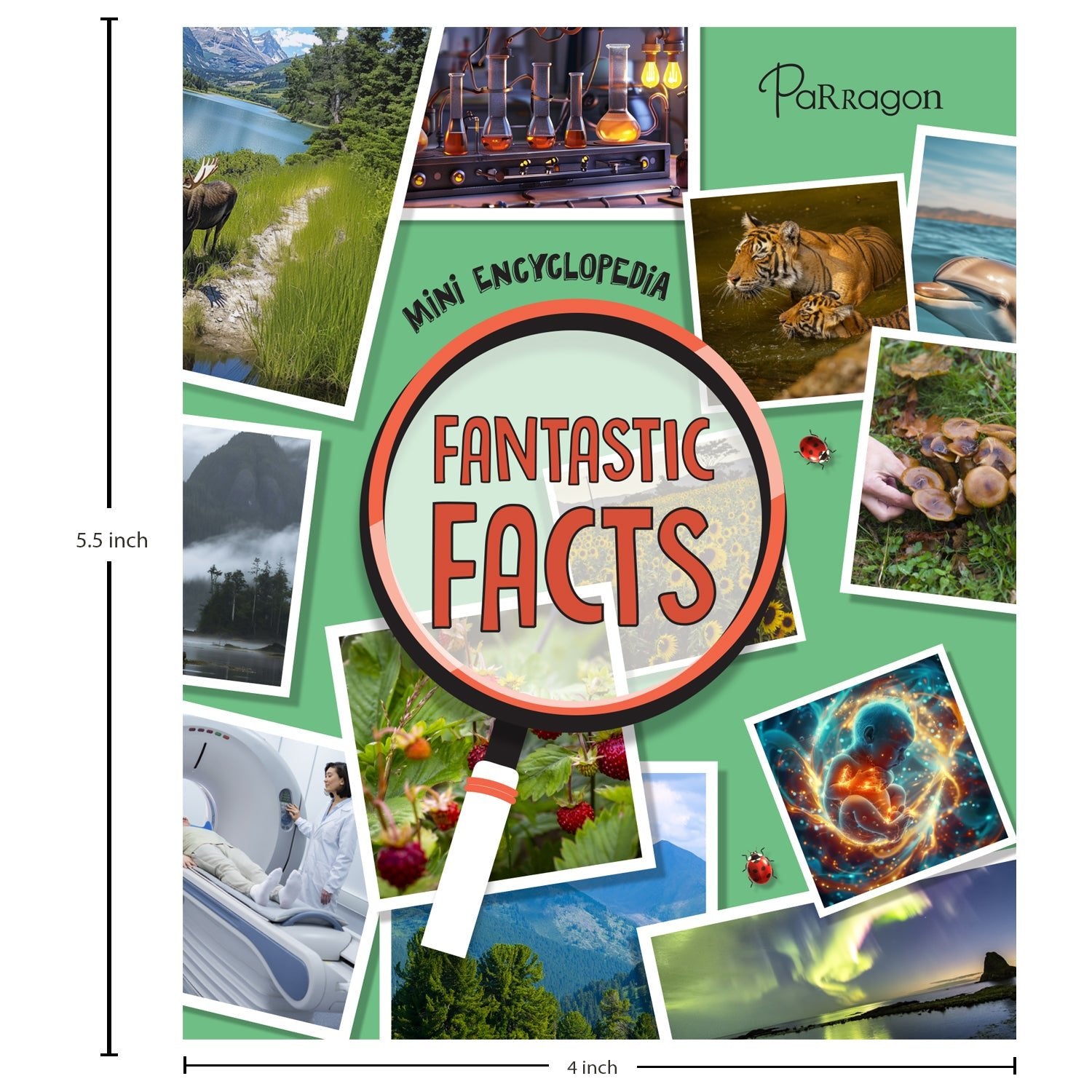 Parragon Publishing Mini Encyclopedia: Fantastic Facts Discover Amazing Trivia About Science, Nature, and More - 9788197509100