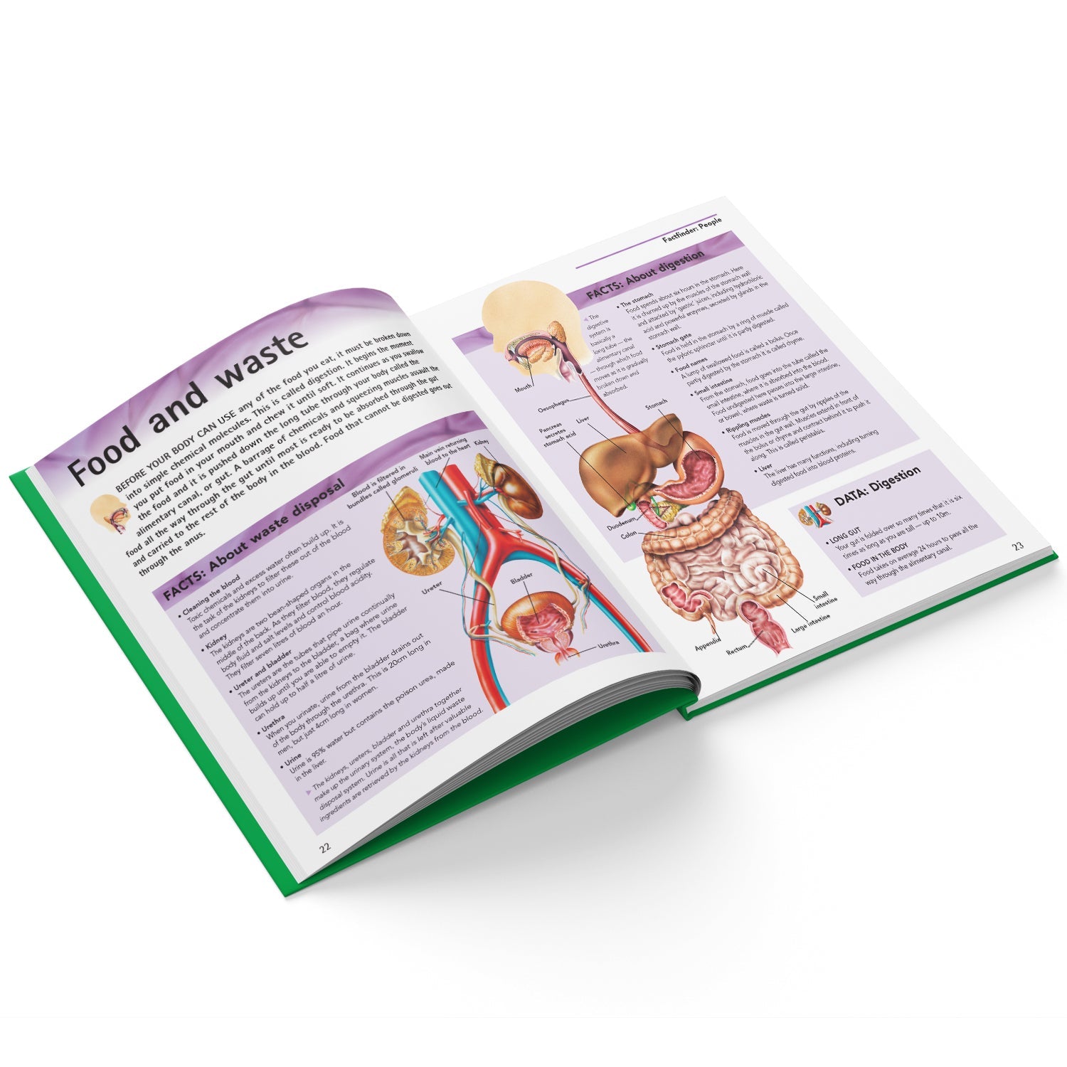 Parragon Publishing Mini Encyclopedia: Fantastic Facts Discover Amazing Trivia About Science, Nature, and More - 9788197509100
