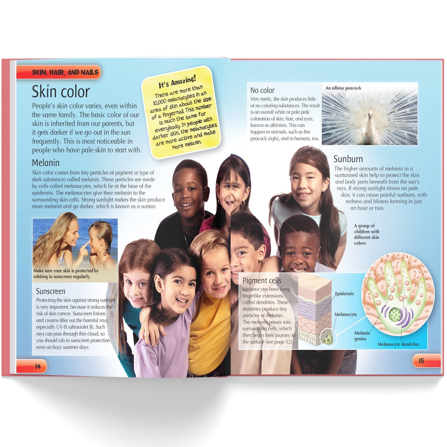 Parragon Publishing Mini Encyclopedia: Human Body A Fun & Educational Guide to Anatomy and Science - 9788197509162