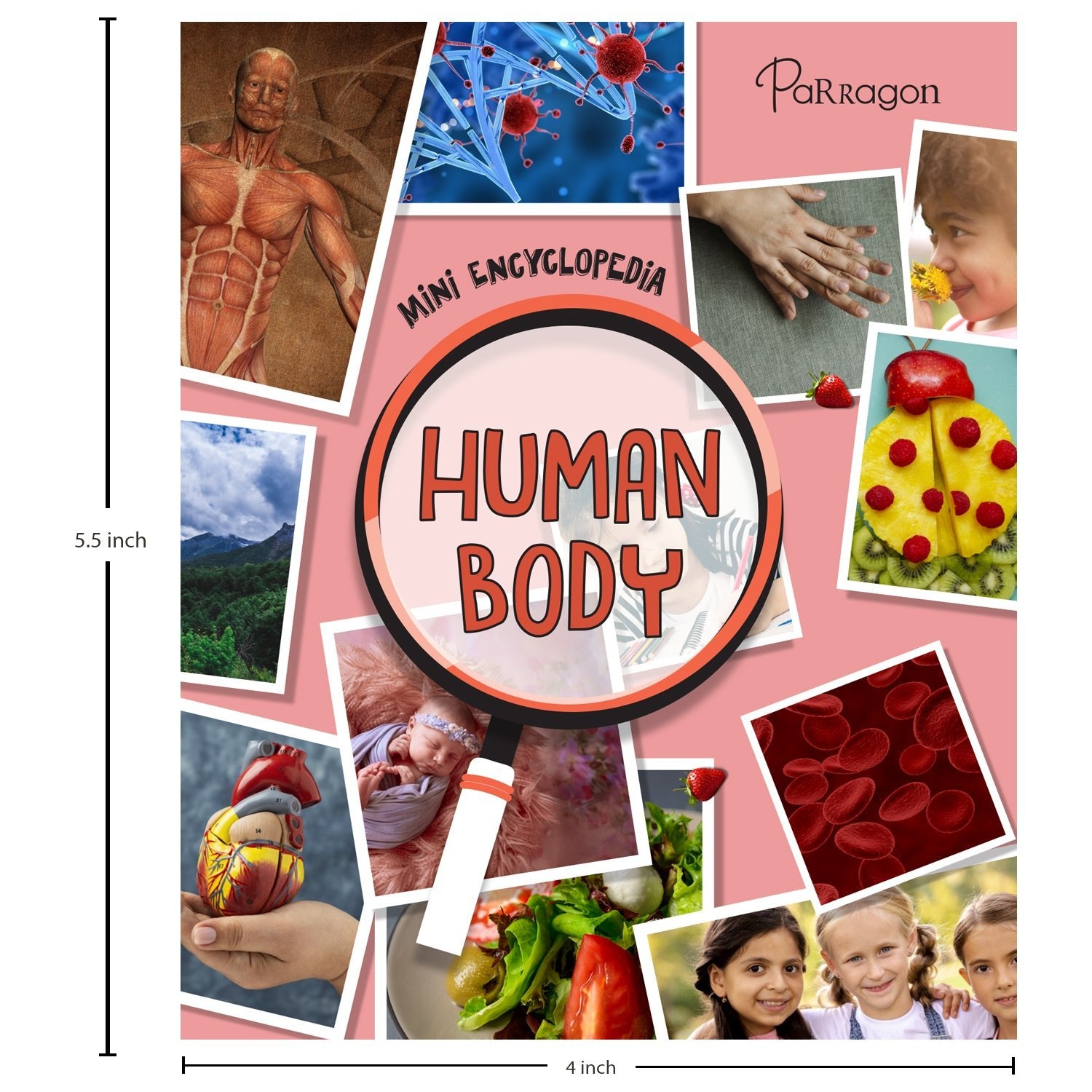 Parragon Publishing Mini Encyclopedia: Human Body A Fun & Educational Guide to Anatomy and Science - 9788197509162