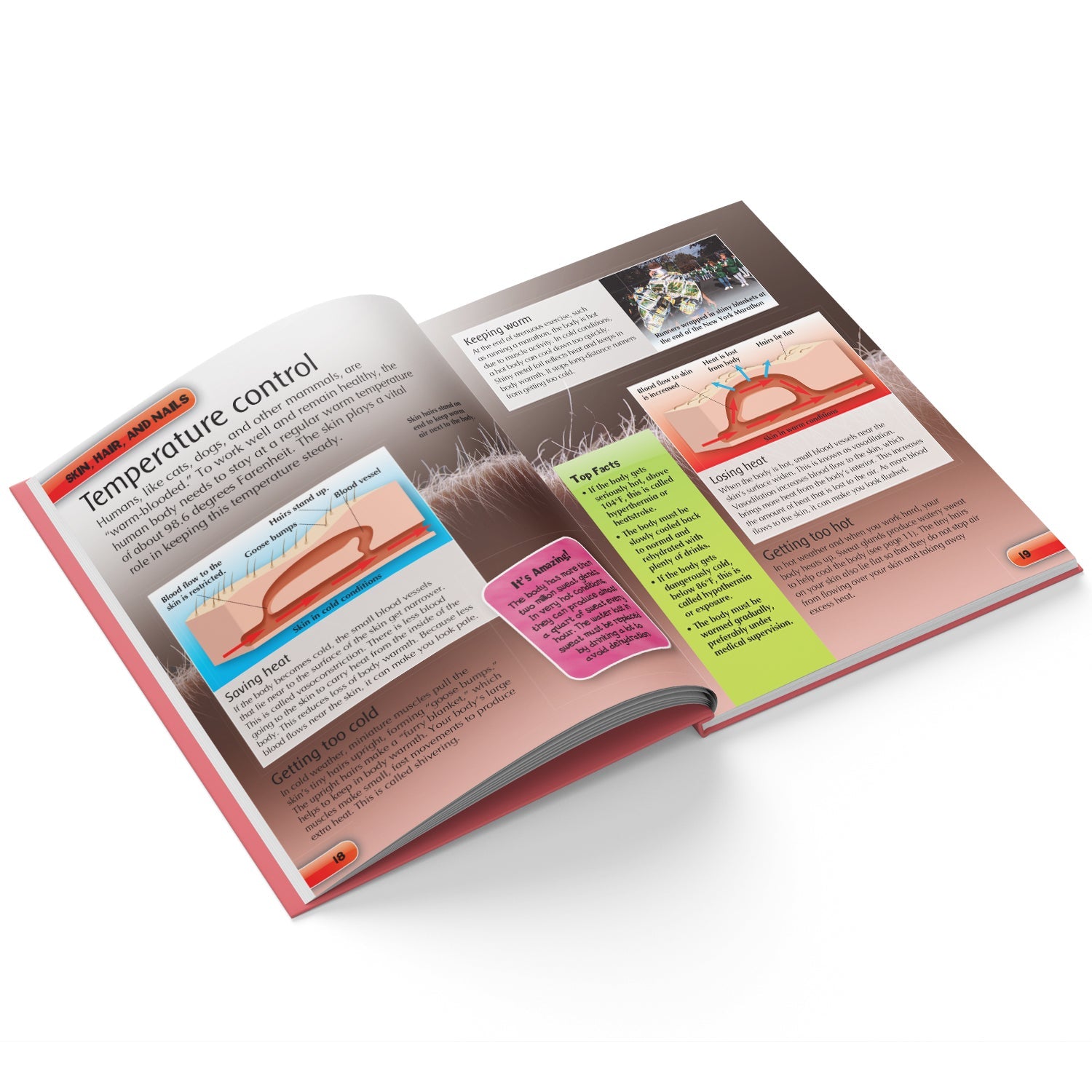 Parragon Publishing Mini Encyclopedia: Human Body A Fun & Educational Guide to Anatomy and Science - 9788197509162