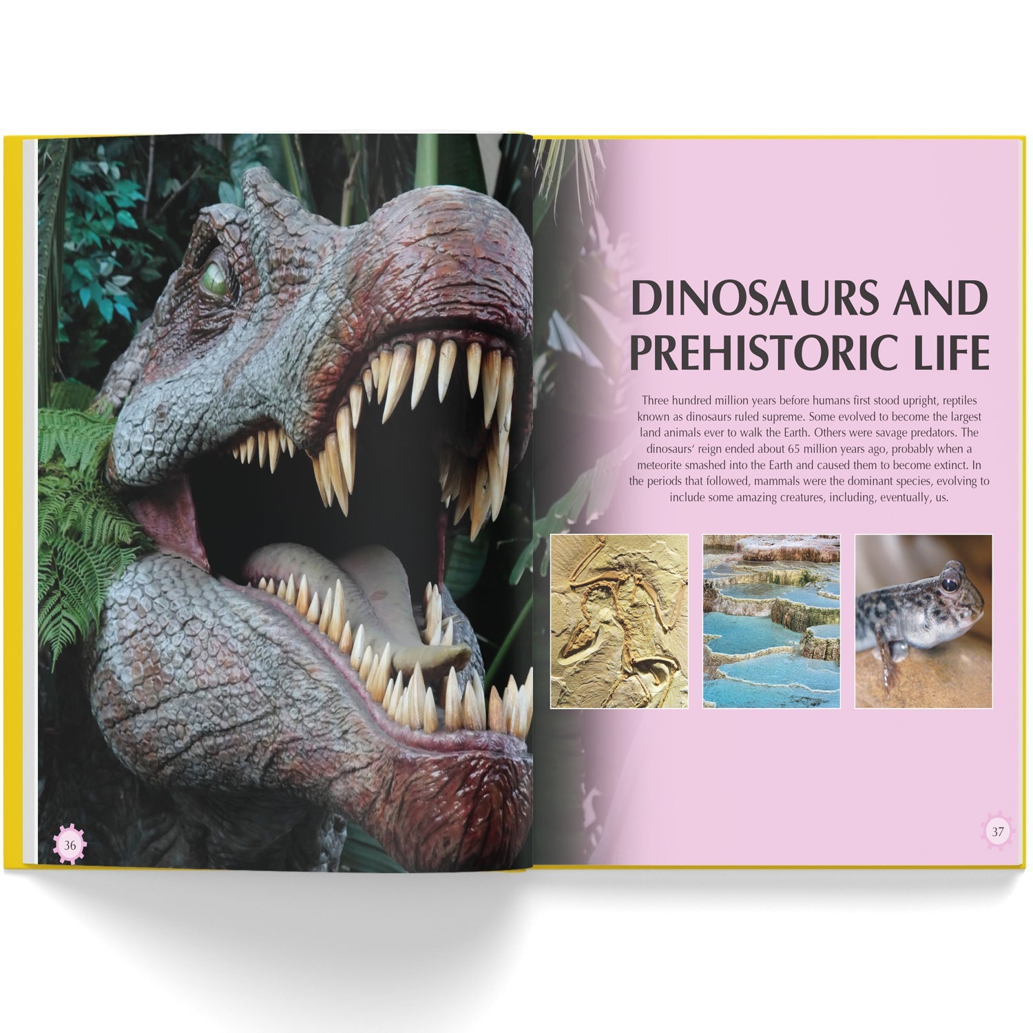 Parragon Publishing Mini Encyclopedia: Knowledge A Fascinating Guide to Science, History, and More - 9788197509148