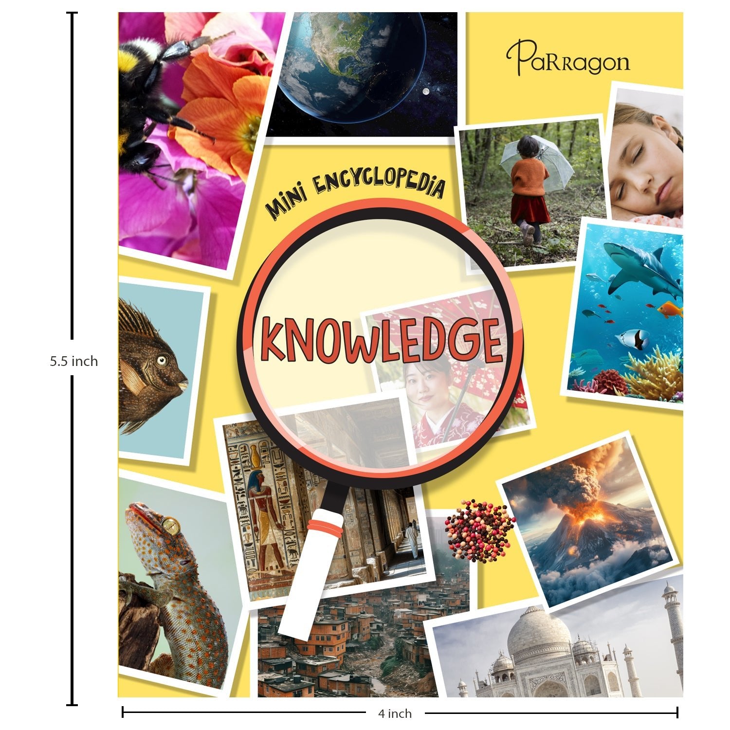 Parragon Publishing Mini Encyclopedia: Knowledge A Fascinating Guide to Science, History, and More - 9788197509148