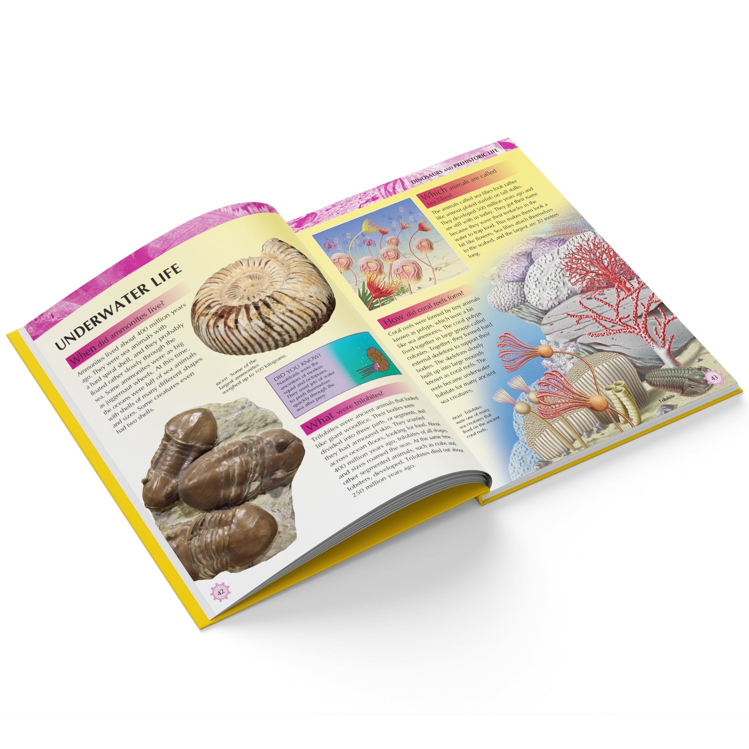 Parragon Publishing Mini Encyclopedia: Knowledge A Fascinating Guide to Science, History, and More - 9788197509148