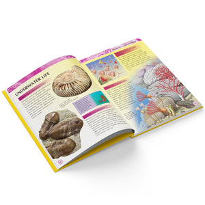 Parragon Publishing Mini Encyclopedia: Knowledge A Fascinating Guide to Science, History, and More - 9788197509148