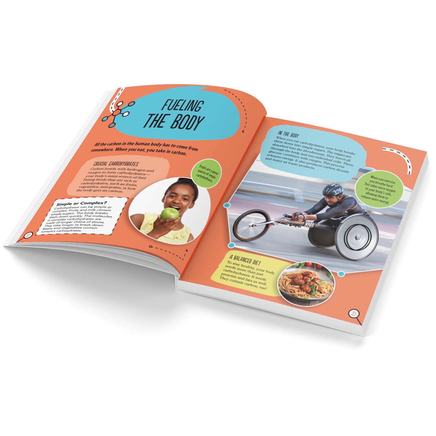 Parragon Publishing STEM Masters: Elements of Life | Reference Book for Kids - 9789393568922