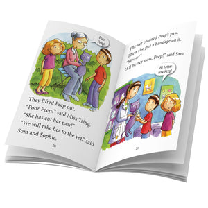 Parragon Reading Heroes Level 1 Animal Rescue | The Mom Store - Story Book