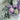 Pastel Purple Swirl Snow Frosted & Ornament Fillers Bushy Christmas Centre table Garland for Christmas Décor, 2 feet - Christmas