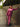 Peony Power Womens Co Ord Set - WES - SK - PEOPW - XS