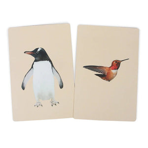 PiK A BOO Birds Flash Cards | Early Learning for Toddlers & Preschool - pab016027
