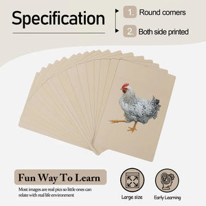 PiK A BOO Birds Flash Cards | Early Learning for Toddlers & Preschool - pab016027