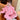 Pink Mini Heart 2 pc Track suit set for Toddlers and Kids - Little Surprise BoxPink Mini Heart 2 pc Track suit set for Toddlers and Kids